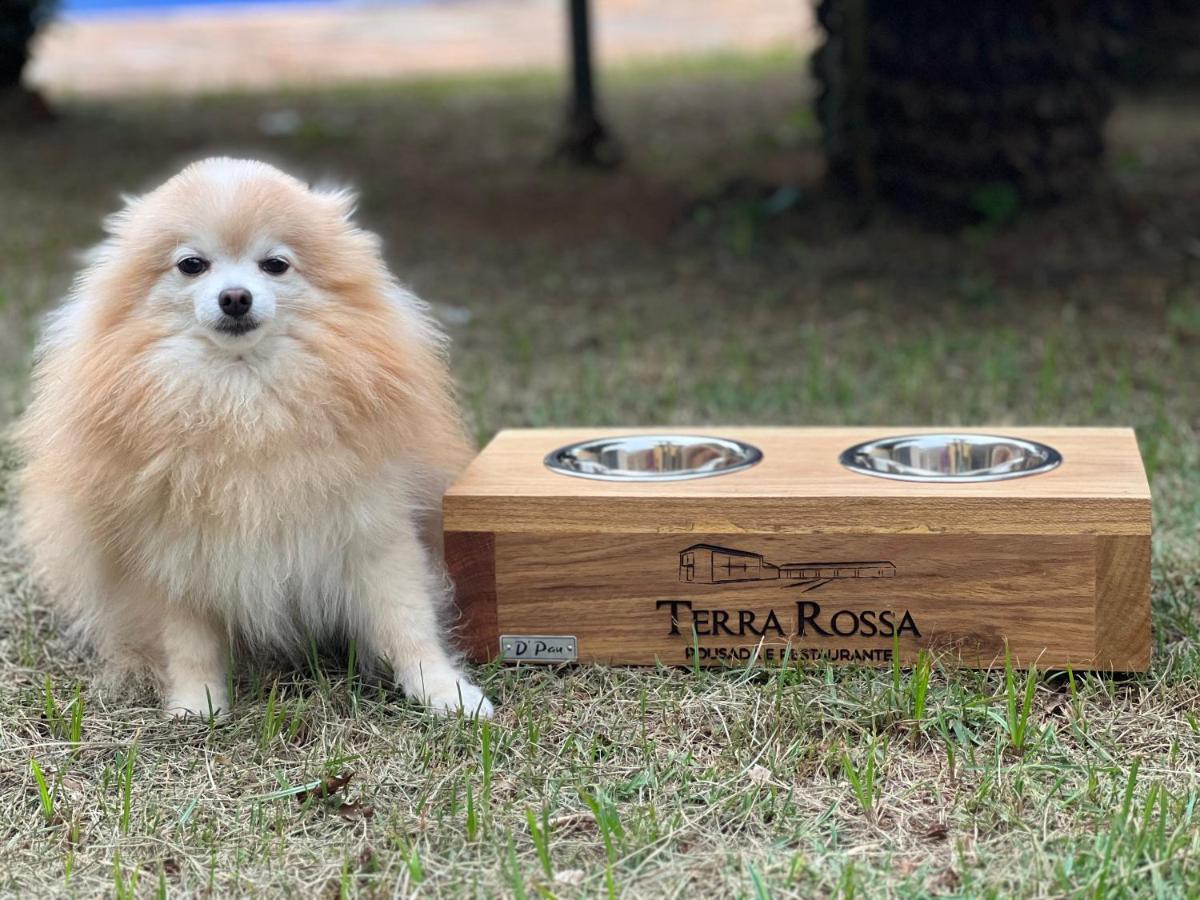 Pousada E Restaurante Terra Rossa Сао Жозе ду Риу Парду Екстериор снимка